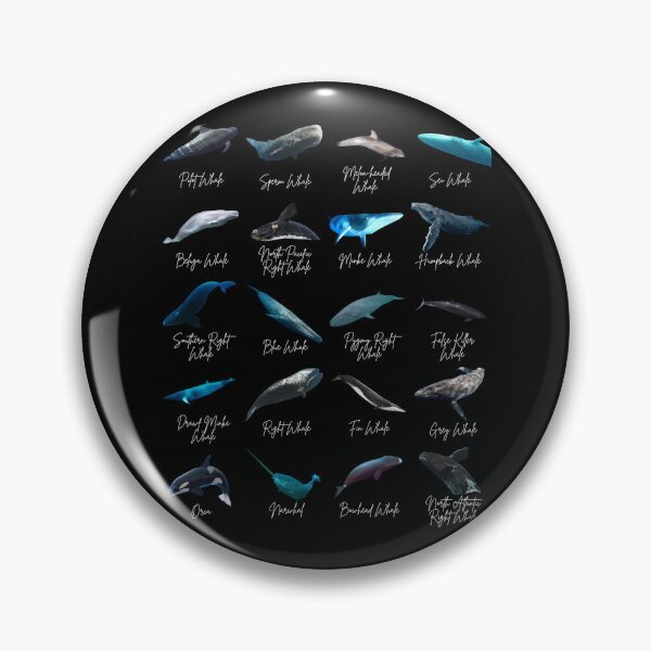Item preview, Whale Identification designed and sold by Marine Wonders.