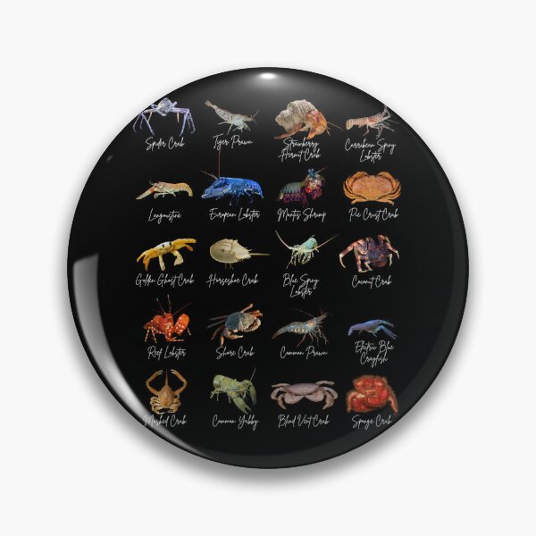 Item preview, Crustacean Identification  designed and sold by Marine Wonders.