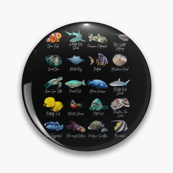 Artikelvorschau, Identifizierung des Great Barrier Reef und australischer Meeresarten entworfen und verkauft von Marine Wonders.