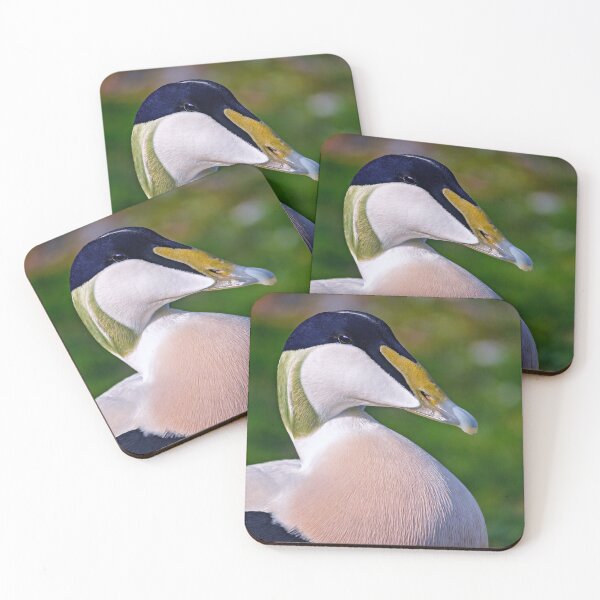 Item preview, Eider Duck Portrait designed and sold by Tom McPherson Photography.
