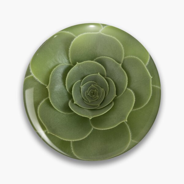 Item preview, Looking up to my Succulent designed and sold by SucculentLovers.