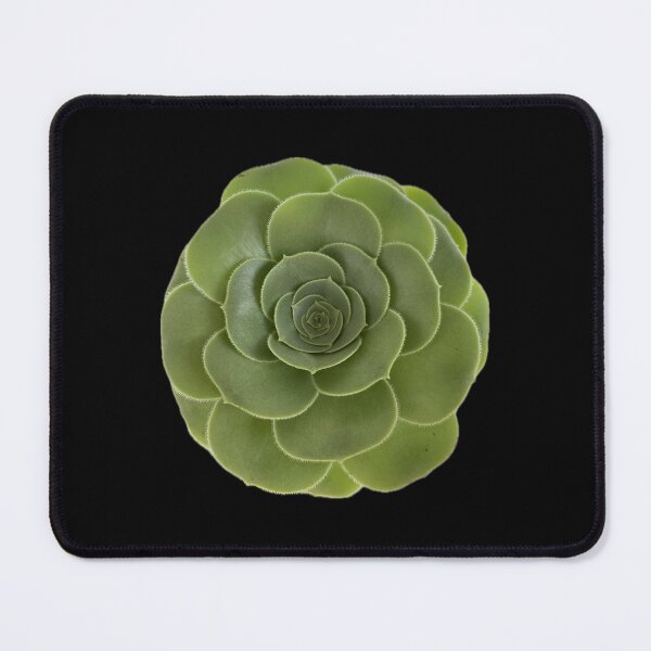 Item preview, Looking up to my Succulent designed and sold by SucculentLovers.