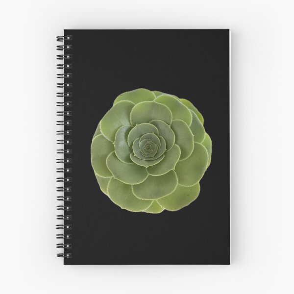 Item preview, Looking up to my Succulent designed and sold by SucculentLovers.