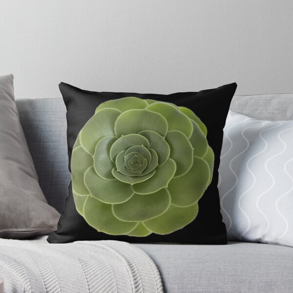 Item preview, Looking up to my Succulent designed and sold by SucculentLovers.