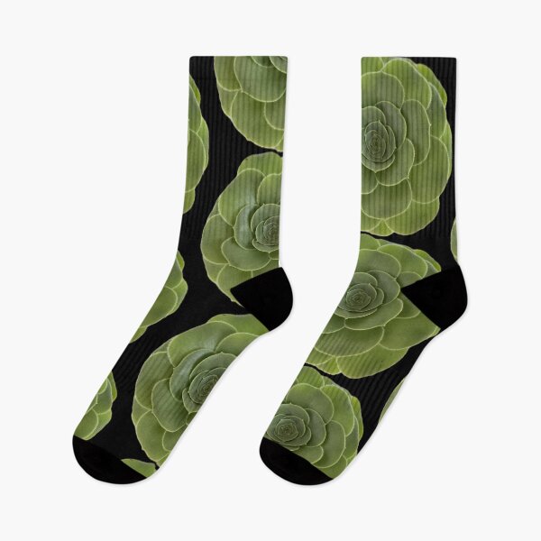 Item preview, Looking up to my Succulent designed and sold by SucculentLovers.