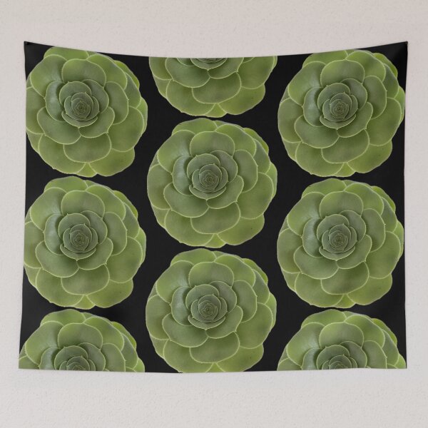 Item preview, Looking up to my Succulent designed and sold by SucculentLovers.