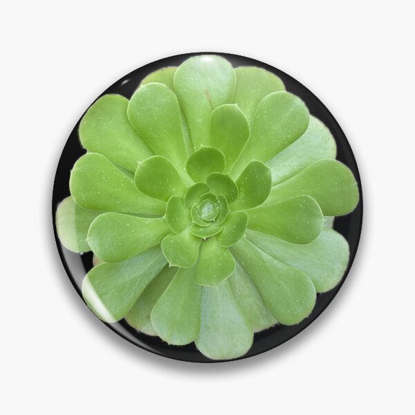 Item preview, Bright Wet Succulent designed and sold by SucculentLovers.