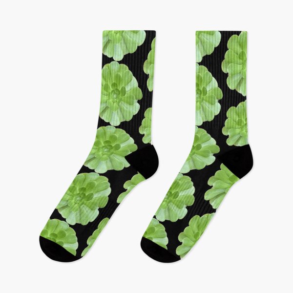 Item preview, Bright Wet Succulent designed and sold by SucculentLovers.