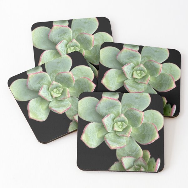 Item preview, Succulent Patch designed and sold by SucculentLovers.