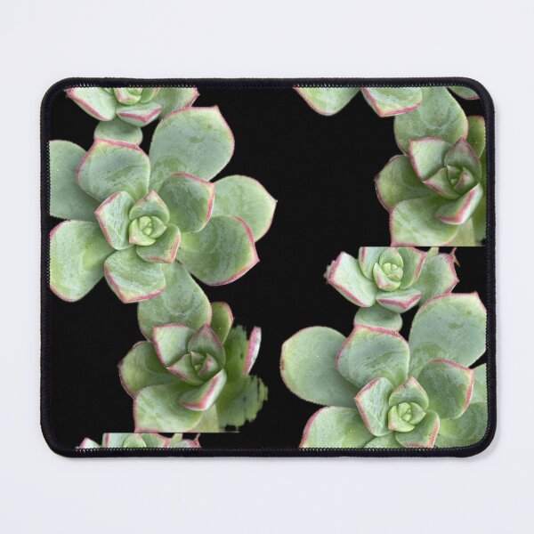 Item preview, Succulent Patch designed and sold by SucculentLovers.
