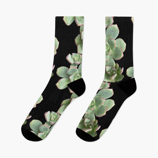 Item preview, Succulent Patch designed and sold by SucculentLovers.