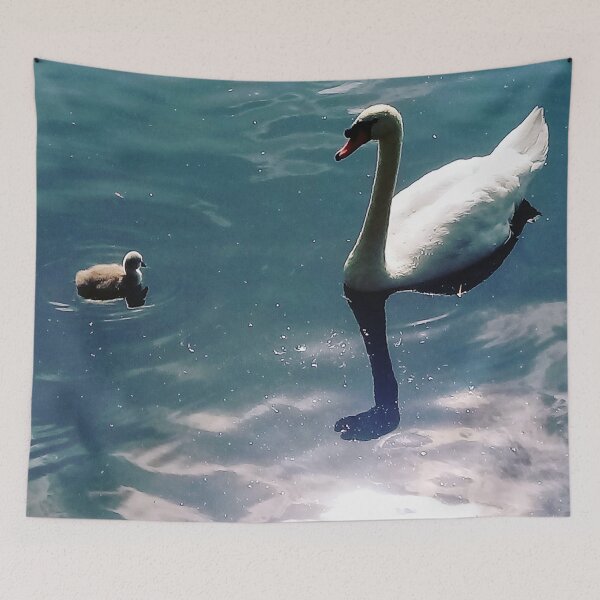 Item preview, Parent and baby swan designed and sold by jeremydwilliams.