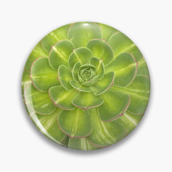 Item preview, Green Bright Succulent designed and sold by SucculentLovers.