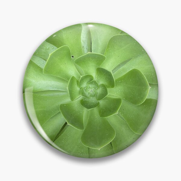 Item preview, Green Sharp Succulent designed and sold by SucculentLovers.