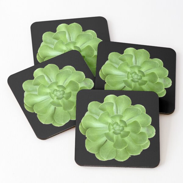 Item preview, Green Sharp Succulent designed and sold by SucculentLovers.