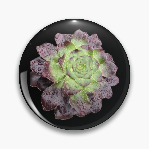 Item preview, Rain Succulent Burgandy Green designed and sold by SucculentLovers.