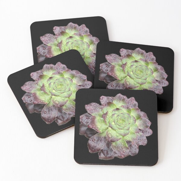 Item preview, Rain Succulent Burgandy Green designed and sold by SucculentLovers.