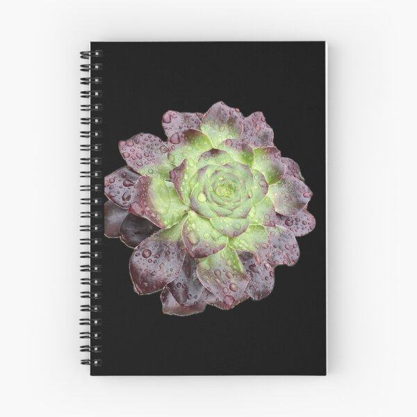 Item preview, Rain Succulent Burgandy Green designed and sold by SucculentLovers.