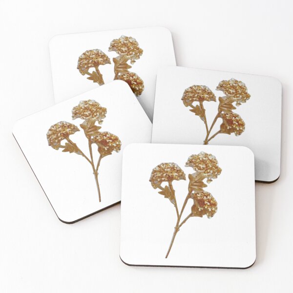 Item preview, Dried flowers designed and sold by di-Vera-Rosati.