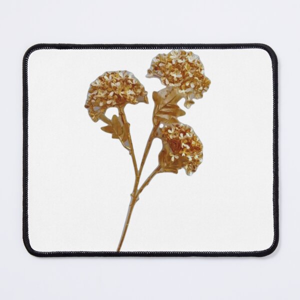 Item preview, Dried flowers designed and sold by di-Vera-Rosati.
