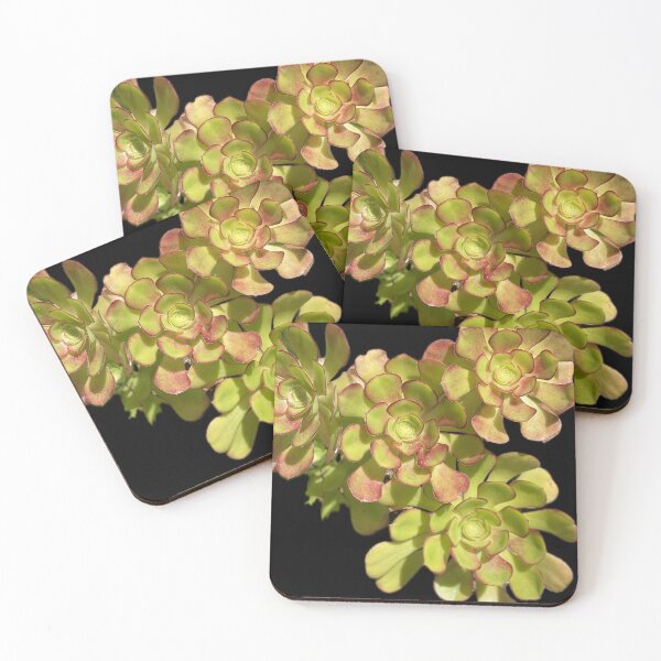 Item preview, Succulent Cluster designed and sold by SucculentLovers.