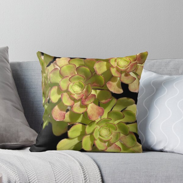 Item preview, Succulent Cluster designed and sold by SucculentLovers.