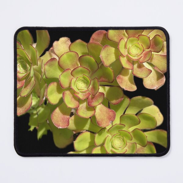 Item preview, Succulent Cluster designed and sold by SucculentLovers.