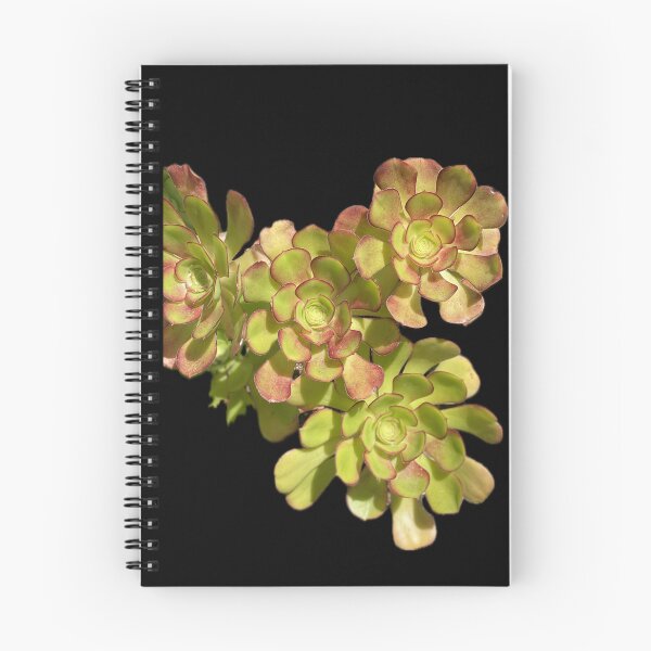 Item preview, Succulent Cluster designed and sold by SucculentLovers.