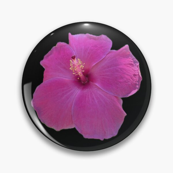 Item preview, Pink Paradise from Hawaii Flower designed and sold by SucculentLovers.