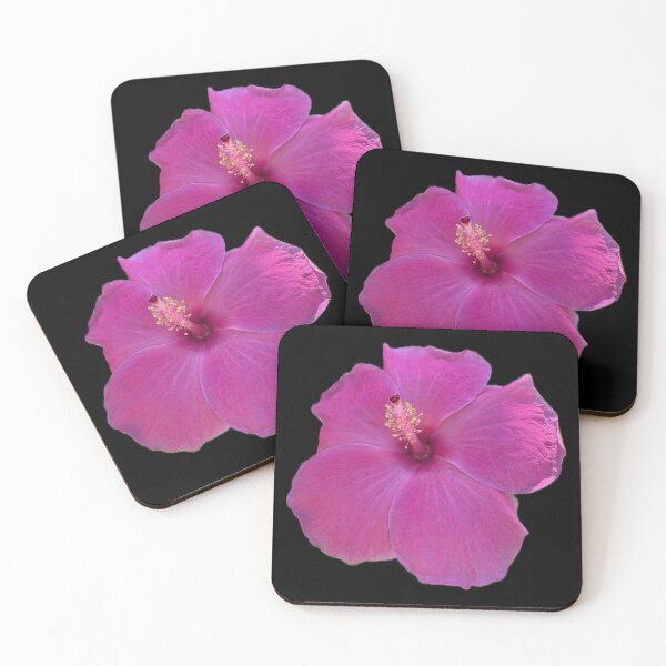 Item preview, Pink Paradise from Hawaii Flower designed and sold by SucculentLovers.