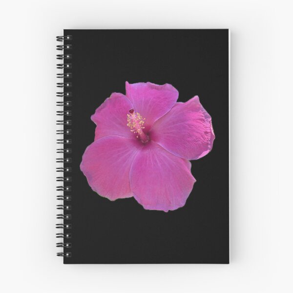 Item preview, Pink Paradise from Hawaii Flower designed and sold by SucculentLovers.