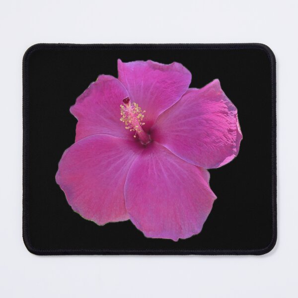 Item preview, Pink Paradise from Hawaii Flower designed and sold by SucculentLovers.