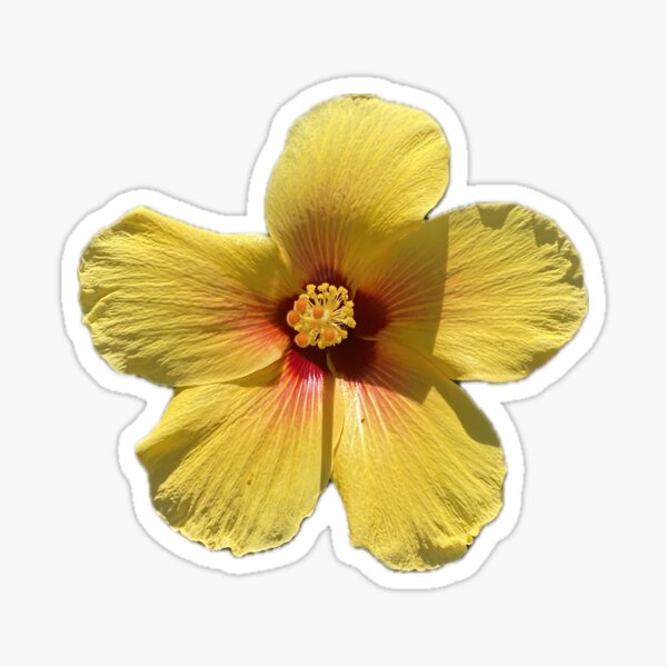 Yellow Paradise Hawaii Flower Sticker
