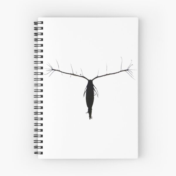 Item preview, Copepod Silhouette designed and sold by Marine Wonders.
