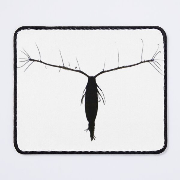 Item preview, Copepod Silhouette designed and sold by Marine Wonders.