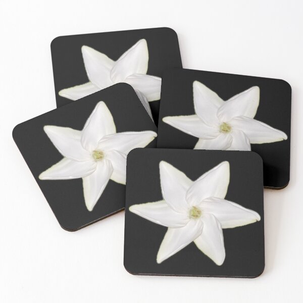 Item preview, White Hawaiian Flower designed and sold by SucculentLovers.