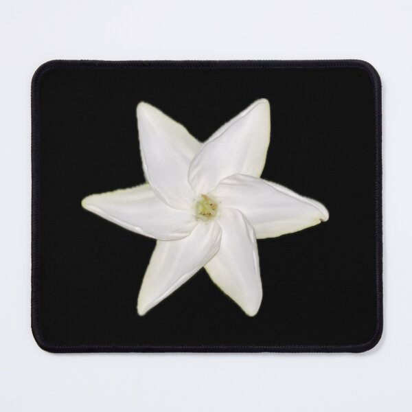 Item preview, White Hawaiian Flower designed and sold by SucculentLovers.