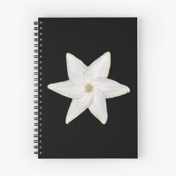 Item preview, White Hawaiian Flower designed and sold by SucculentLovers.