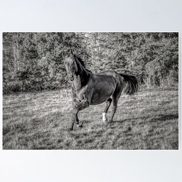 Item preview, Wild Horses designed and sold by Ernie Steven Dickey.