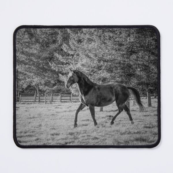Item preview, Wild Horses in Black and White designed and sold by Ernie Steven Dickey.