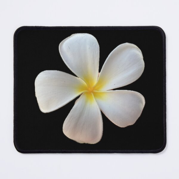 Item preview, White Hawaiian Flower designed and sold by SucculentLovers.