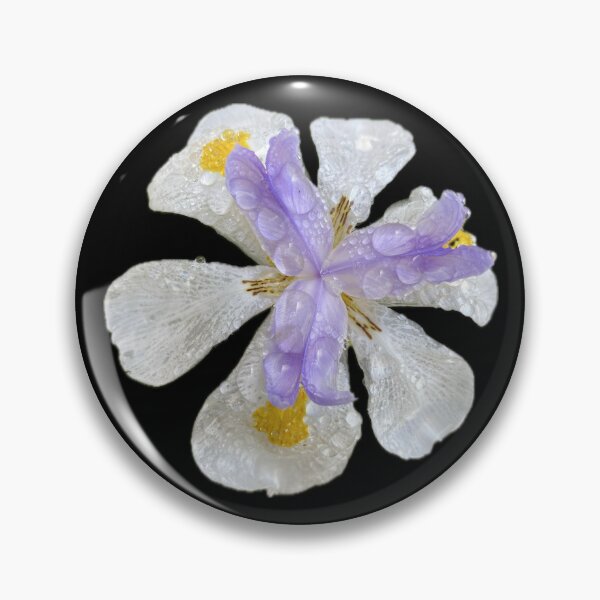 Item preview, Morning Bloom designed and sold by SucculentLovers.