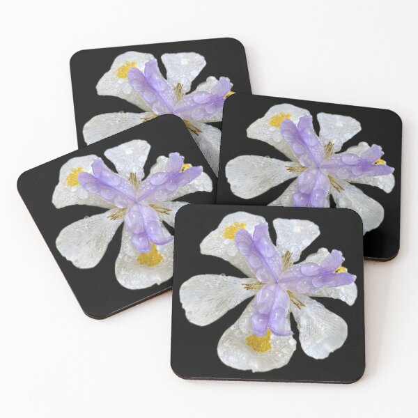 Item preview, Morning Bloom designed and sold by SucculentLovers.