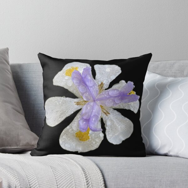 Item preview, Morning Bloom designed and sold by SucculentLovers.