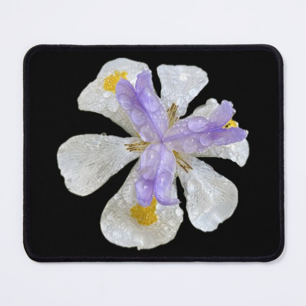 Item preview, Morning Bloom designed and sold by SucculentLovers.