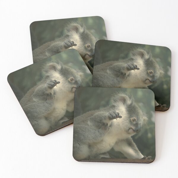 Item preview, Australian Koala Joey designed and sold by robdwildlife.