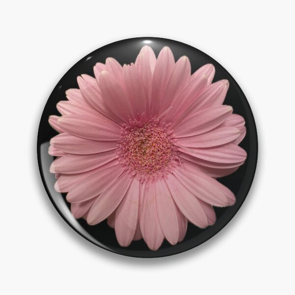 Item preview, Pretty Pink designed and sold by SucculentLovers.