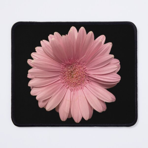 Item preview, Pretty Pink designed and sold by SucculentLovers.