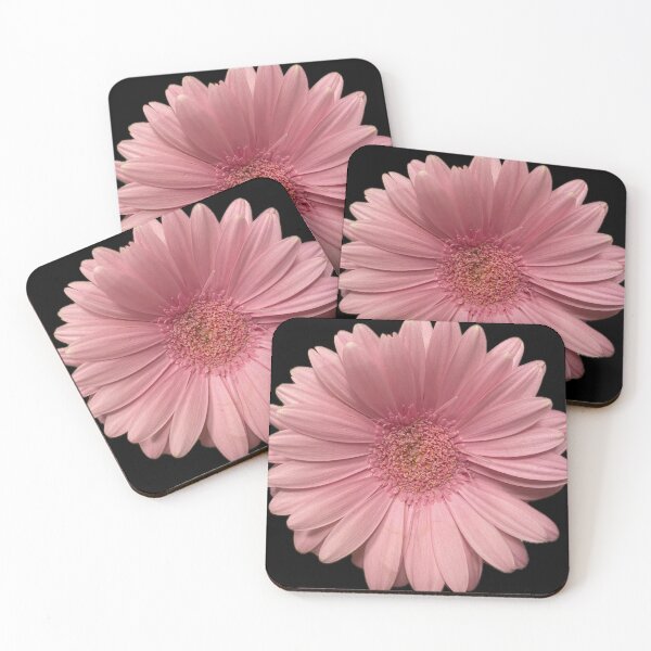 Pretty Pink Coasters (Set of 4)