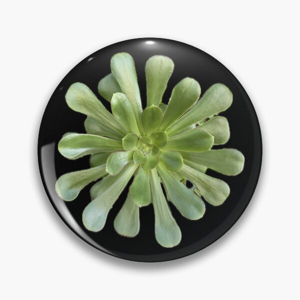Item preview, Pretty Green Succulent Split Leaf designed and sold by SucculentLovers.